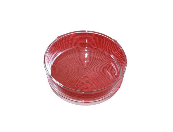 Coupe en verre