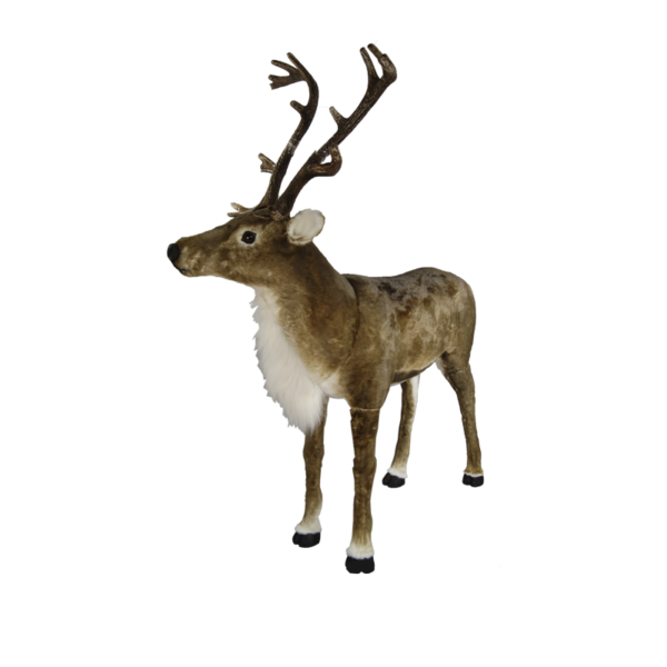 Cerf